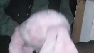 Me shagging my bunny in my friends shed