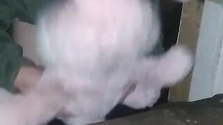 Me shagging my bunny in my friends shed