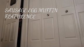 SAUSAGE EGG MUFFIN FLATULENCE