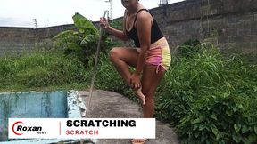 Cleaning and scratching feet and legs (3)