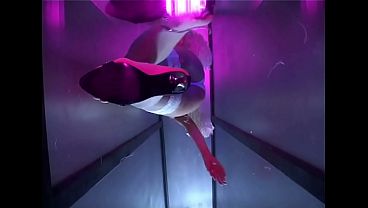 Jane Darling Masturbates While Wearing Angel Wings And Stilettos