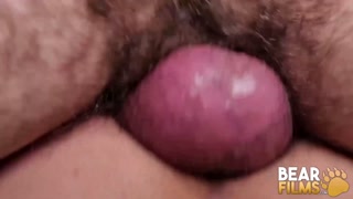 BEARFILMS Hairy Bearded Bear Rob Hairy Breeds Ray Crosswell