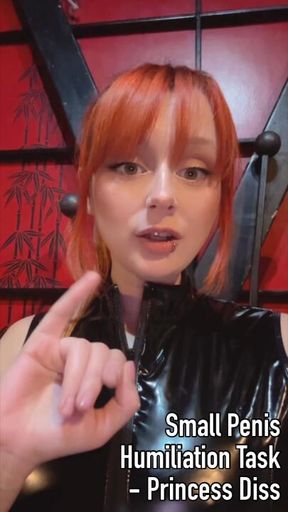 Small Penis Humiliation Task - Princess Diss