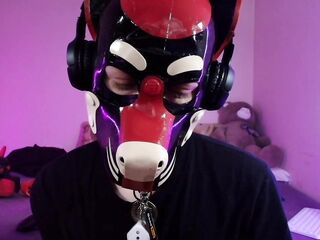 K9GoodBoy seduces raw college excitement
