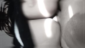 Wild Bunny White and Black Video Series