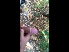 helping hand in park