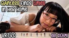 Japanese Giantess vs Shrunken People - VR360 8K