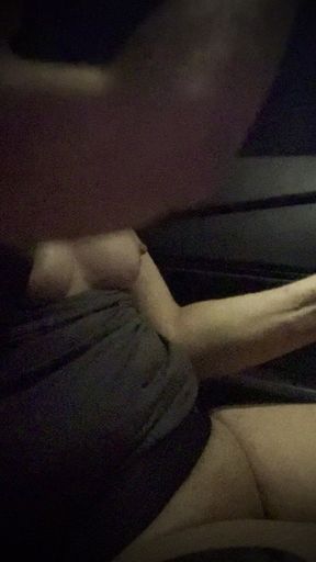 Naughty Drive Home