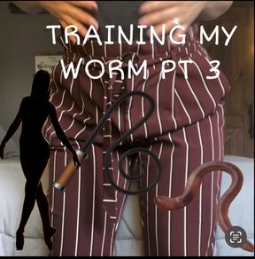 Training My Worm Series Pt 3