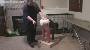 Lucy: Plugged & Spanked in Box Stocks