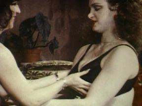 Suzie's Super Knockers