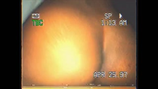 04/25/1997 Step Sister Diary Entry 1