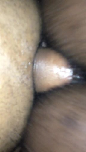 Black Breeders 50