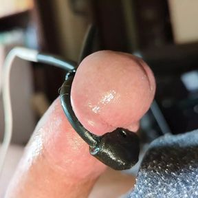 Close-up throbbing cock head cum - estim