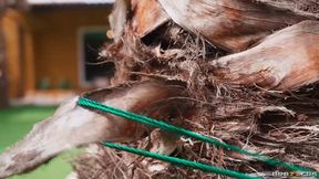 Wet And Sneaky Sapphire Astrea Brazzers