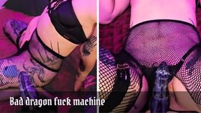 Bad dragon fuck machine - bred by Nova