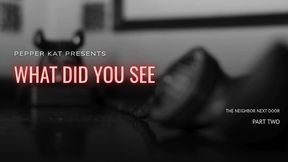 What Did You See