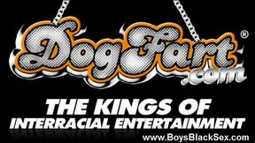 Blacks On Boys - Black Boys Ass Gay Fucked 24