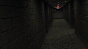 Boss fucks his large schlong trans secretary (tv trasex doll fuck)