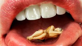 Trapped by Me - Your Tiny Fate Awaits