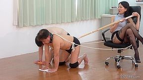 Japanese Femdom Ponyplay