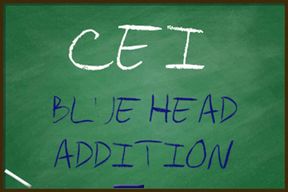 CEI for Really Gay Sissy