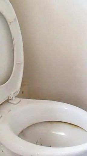 Nasty Toilet Sissy