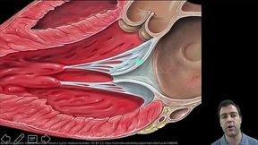 VALVULAS AV TOPZERA VIZINHA GOSTOSA