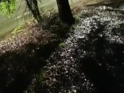 pissing in a public park during pride by the road