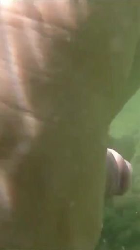 Wife Beach Vacation Sex and Suck Cock Twice