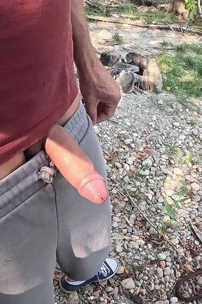 Surprise in the Foliage