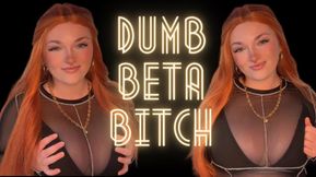 Dumb Beta Bitch - Homewreck Mesmerize Mind Fuck Goddess Worship Beta Loser Verbal Humiliation Degradation