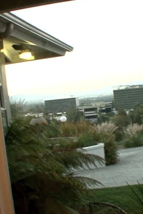 The Fool Enjoys Sucking