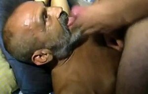 Fat Dick Sucking Grandpa Bear