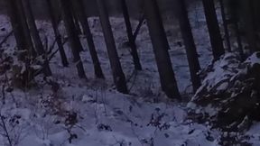 Nude Nature in Winter