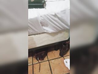 hotwife Brandii Delacruz swinging BBW as a preggy woman
