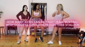 How Many Kicks Can He take? (Ball Busting) With Goddess Luna & Peggin Thee Stallion