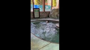 Vacation vlog part two