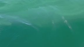 Sunny Foot Play and Tickling in Public on a Boat