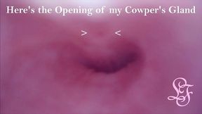 exploring my peehole and finding where i cum from