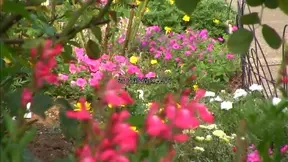 Playful Japanese AV model Ayumi Hasegawa shows off her big tits 2