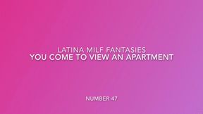 I am a Realtor trying to persuade you to take an apartment