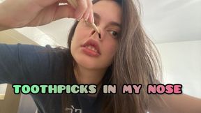 toothpicks in the nose