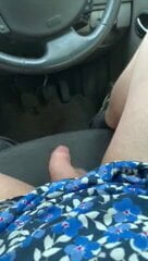 In car wank