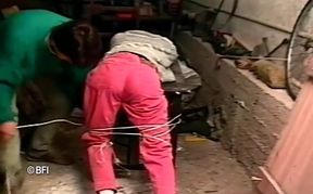 repairman ravage.