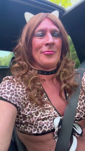 Driving Home and Cumming