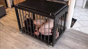 Slave Defenseless Used on a Steel Cage and Fucked
