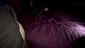 My stepmom told me if I will be quiet and quick I can cum on her toe-socks Taboo