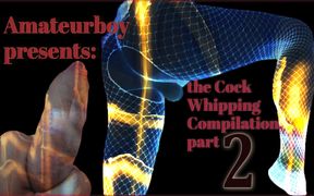 Amateurboy Presents the Cock Whipping Compilation Part 2