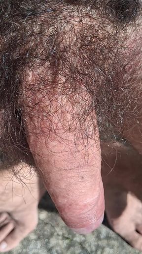 Cock Soft to hard